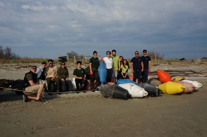 Grandi boe abbandonate nel Delta del Po serviranno ad animali in aree naturali