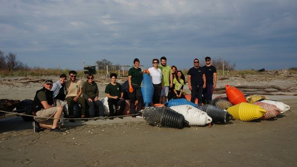 Grandi boe abbandonate nel Delta del Po serviranno ad animali in aree naturali