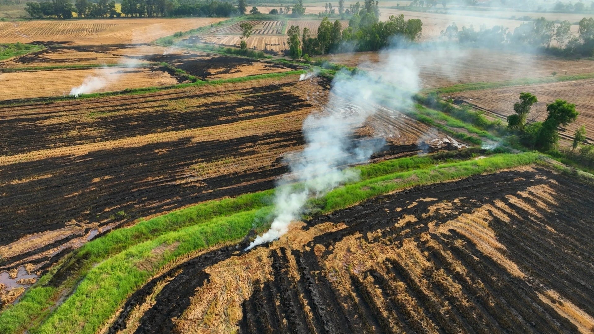 «Earth Overshoot Day», gli effetti sottovalutati del deficit ecologico