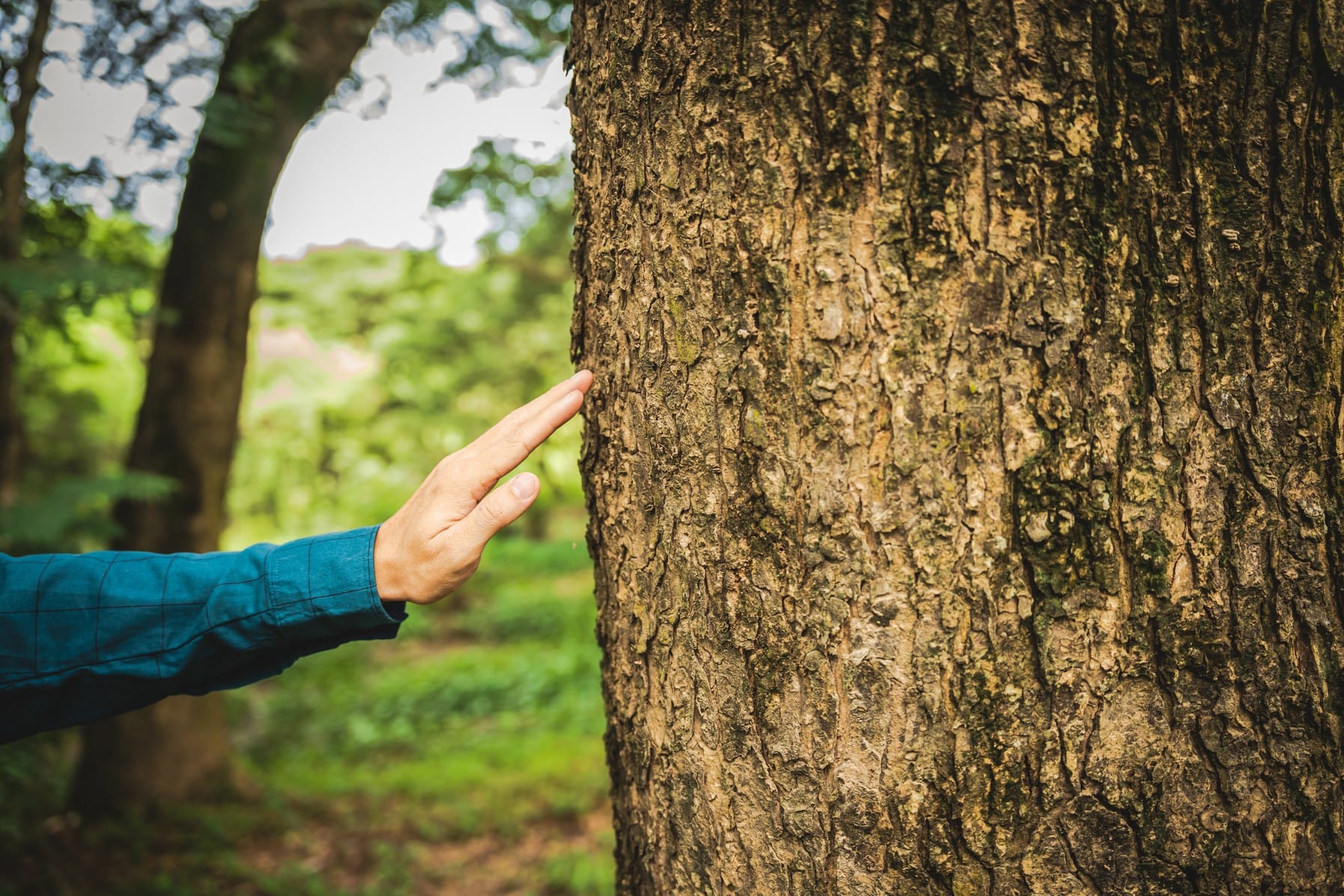«Earth Overshoot Day», gli effetti sottovalutati del deficit ecologico