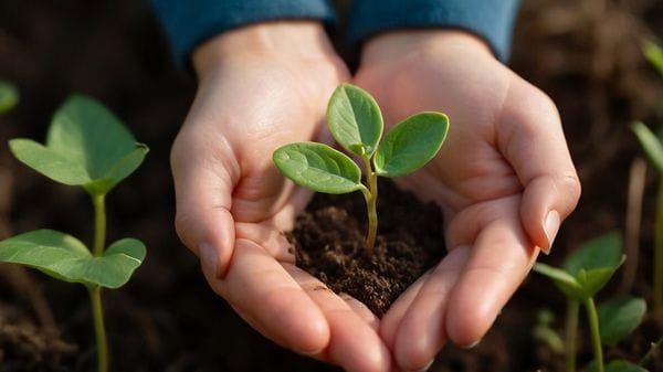 «Earth Overshoot Day», gli effetti sottovalutati del deficit ecologico