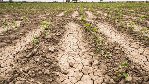 In Ue 156mila chilometri quadrati colpiti dalla siccità, come 6 volte la Sicilia