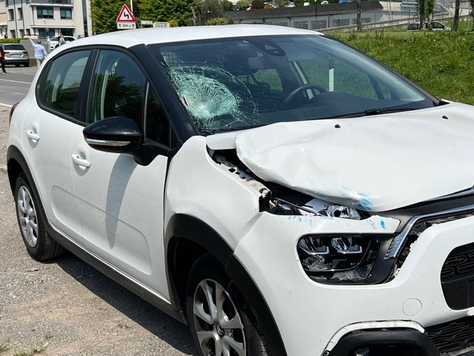 Travolta da auto e sbalzata in un campo così è morta a 64 anni Cinzia Macchioni 