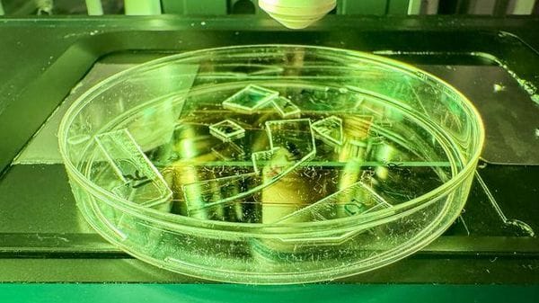 Una pellicola antivirale per smartphone e ospedali più sicuri