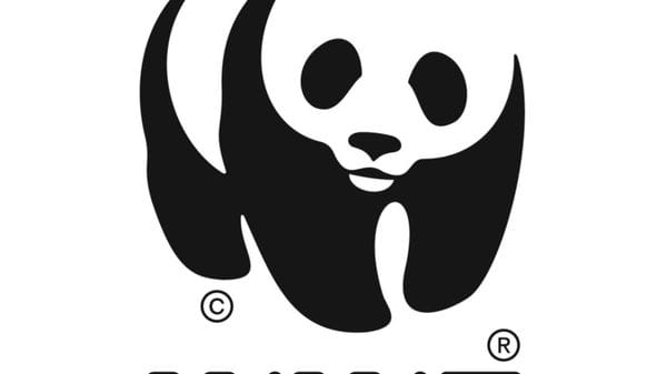 Wwf, 'avvelenamenti di lupi e fauna, emergenza ambientale in Abruzzo'