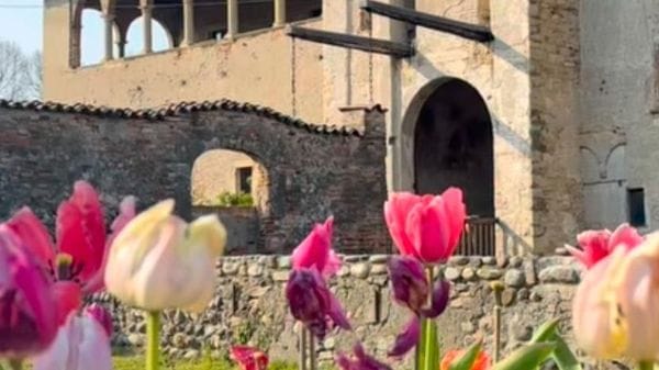 Borghi, palazzi e tulipani Lunedì con i «Castelli aperti»