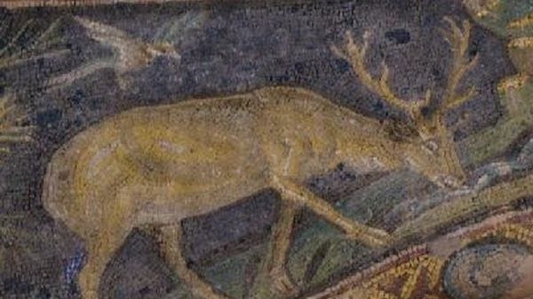 L’invito alla salvezza gratuita e universale