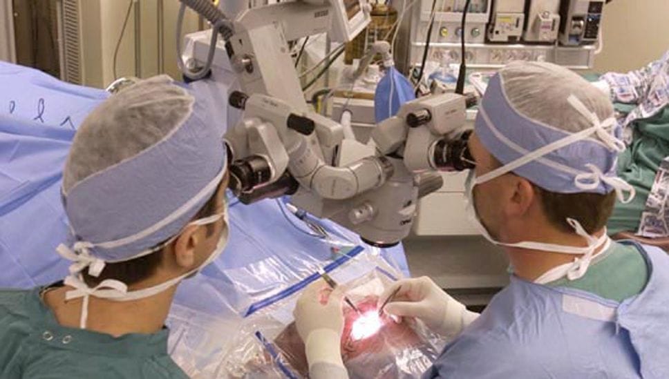 Trapianti, in 72 ore speranza di vita  per 16 pazienti