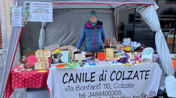 Colzate, il canile dove c’è tutto ciò che è necessario