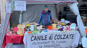 Colzate, il canile dove c’è tutto ciò che è necessario