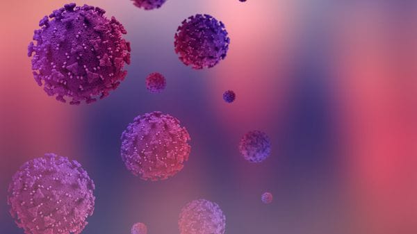 Da topi anziani nuovi indizi sul legame tra età e tumori