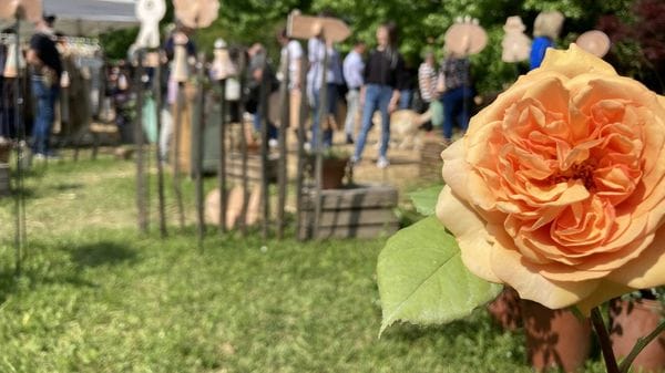 Floreka torna con «Nature migranti»: a Ranica un weekend tra piante, storie e paesaggi in movimento