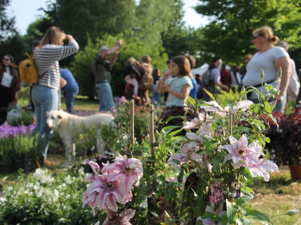 Floreka torna con «Nature migranti»: a Ranica un weekend tra piante, storie e paesaggi in movimento