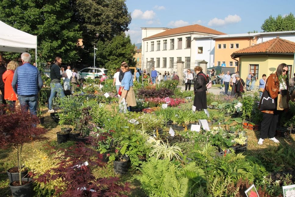 Floreka torna con «Nature migranti»: a Ranica un weekend tra piante, storie e paesaggi in movimento