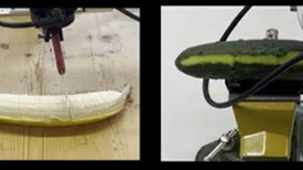 Per i robot diventa più facile affettare gli ortaggi