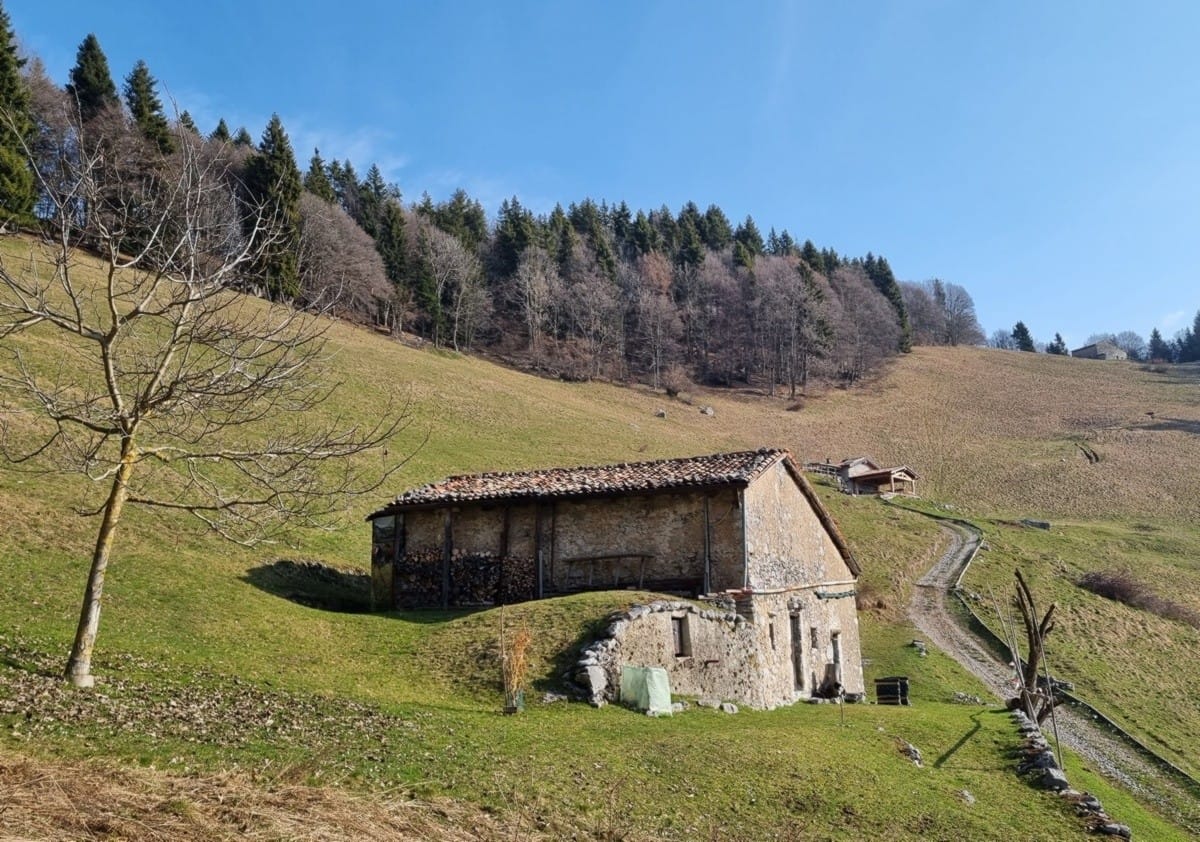 Nasolino e Valzurio: un trekking panoramico nell’anima della Val Seriana