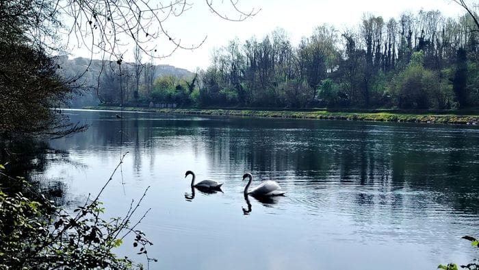 Nuotando in tranquillità