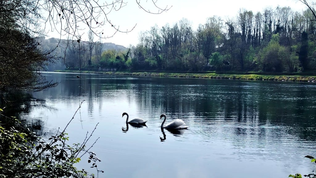 Nuotando in tranquillità