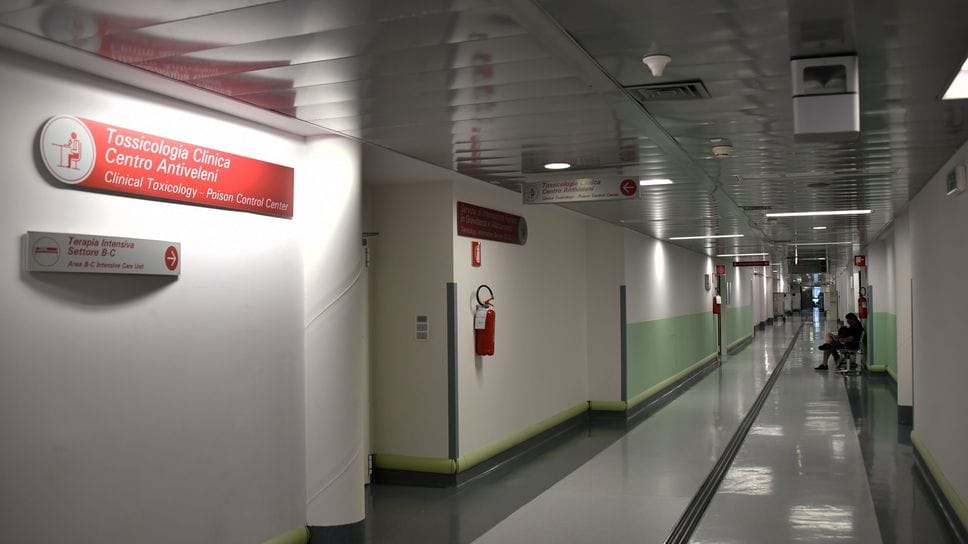 Con il caldo ecco insetti e serpenti: allerta e prime chiamate per morsi e punture