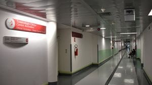 Con il caldo ecco insetti e serpenti: allerta e prime chiamate per morsi e punture