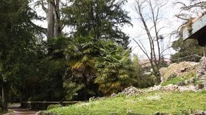 Le oasi a Bergamo, Marenzi riapre. Lavori al Turani e nei quartieri