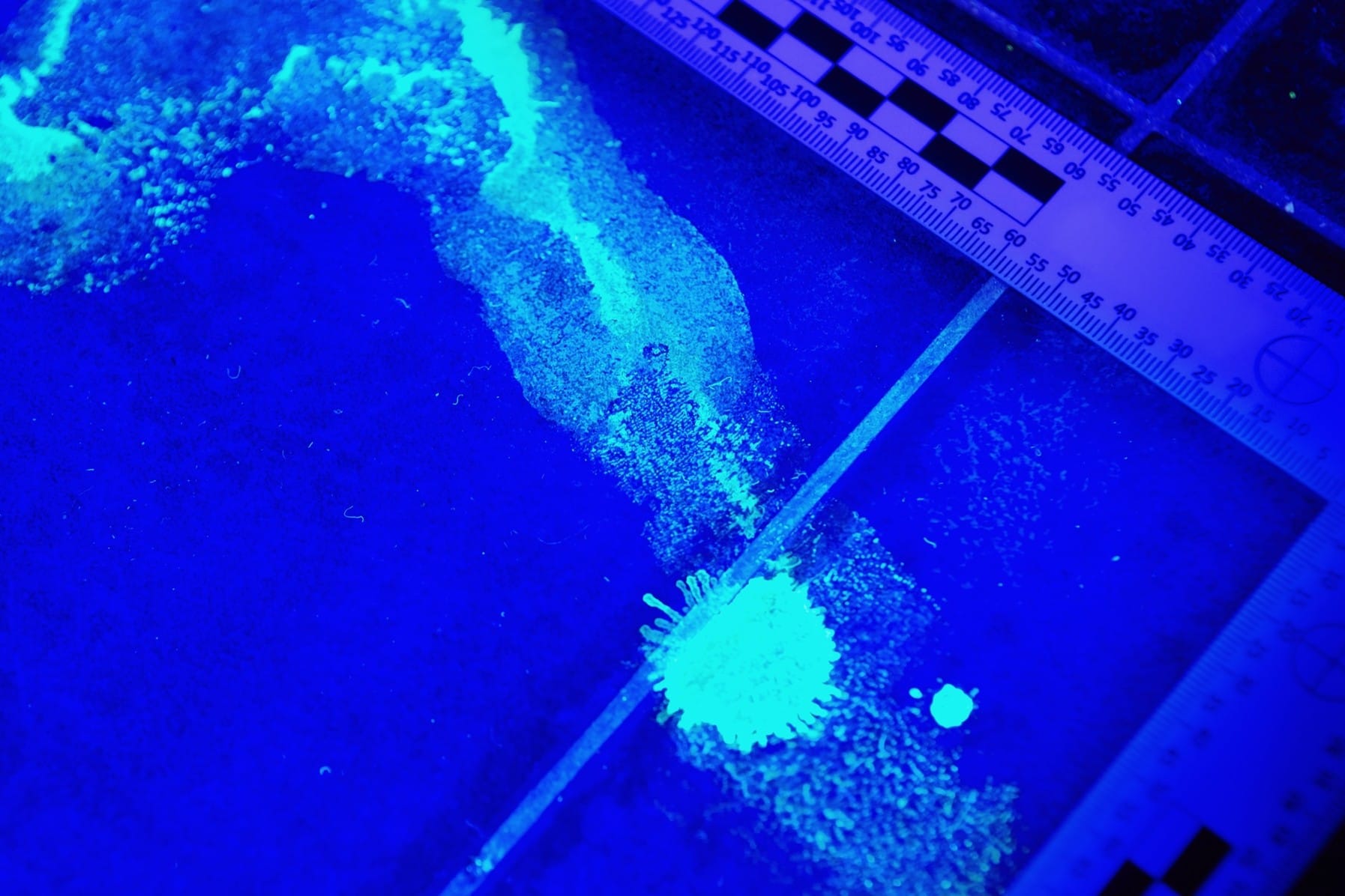 Reazioni «brillanti», la chimica che fa luce sul mondo