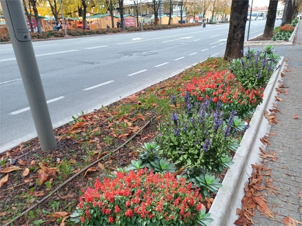 Bergamo, punta sulla riqualificazione del verde da viale Papa Giovanni a Città Alta