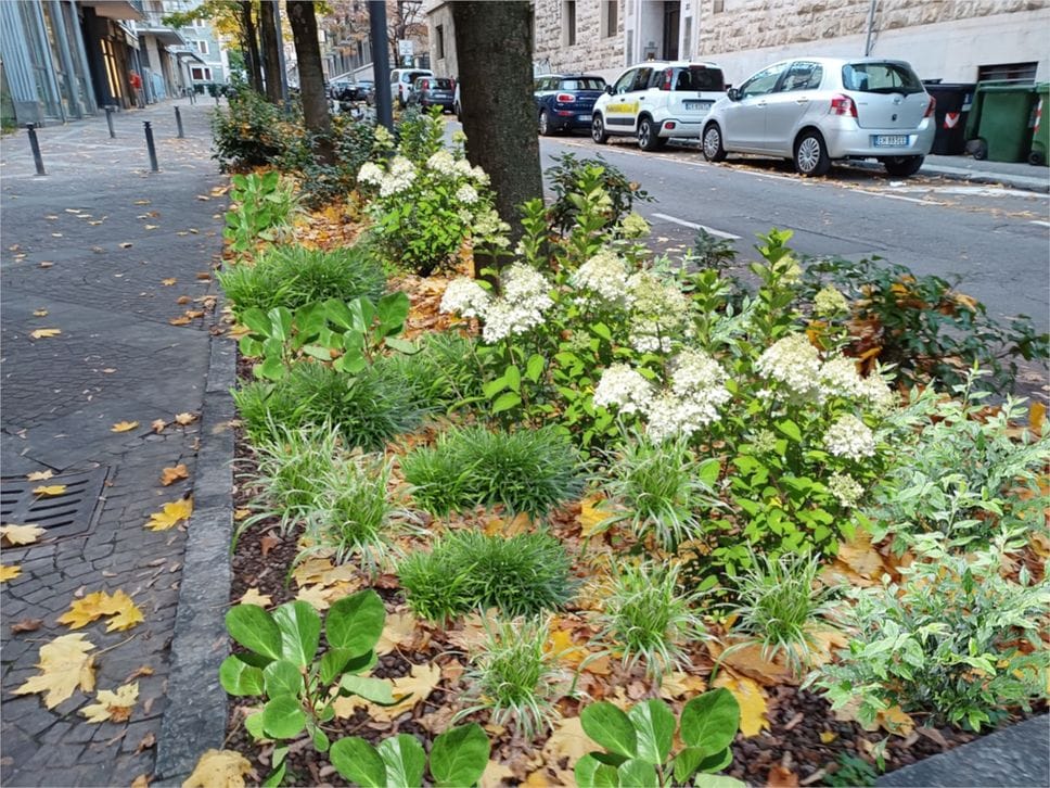 Bergamo, punta sulla riqualificazione del verde da viale Papa Giovanni a Città Alta