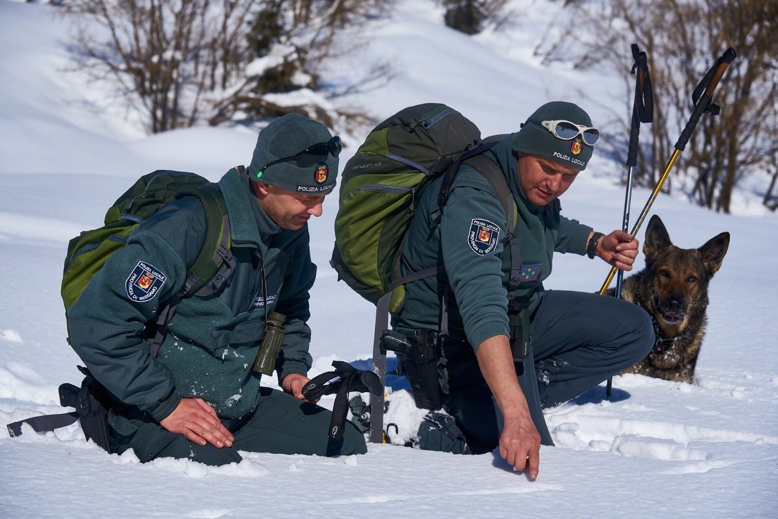 Il lupo è tornato sulle Orobie. A Nembro un incontro per fare chiarezza