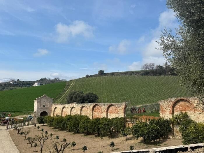 L'arancio biondo del Piceno ritrova il suo scrigno, riapre Hortus
