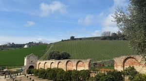 L'arancio biondo del Piceno ritrova il suo scrigno, riapre Hortus