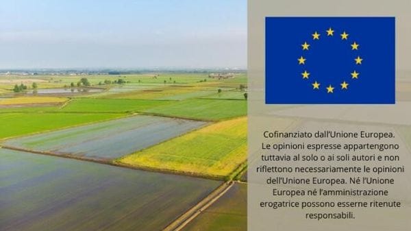 Immagine per ansa-ef684c5d-1027-4118-86c4-da059c2452da