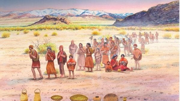 Ricostruita l'origine dell'agricoltura nelle Ande, con l'archeogenetica