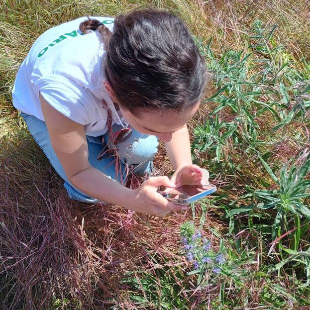 Nel Parco Oglio Nord torna il «BioBlitz», la biodiversità diventa esperienza condivisa