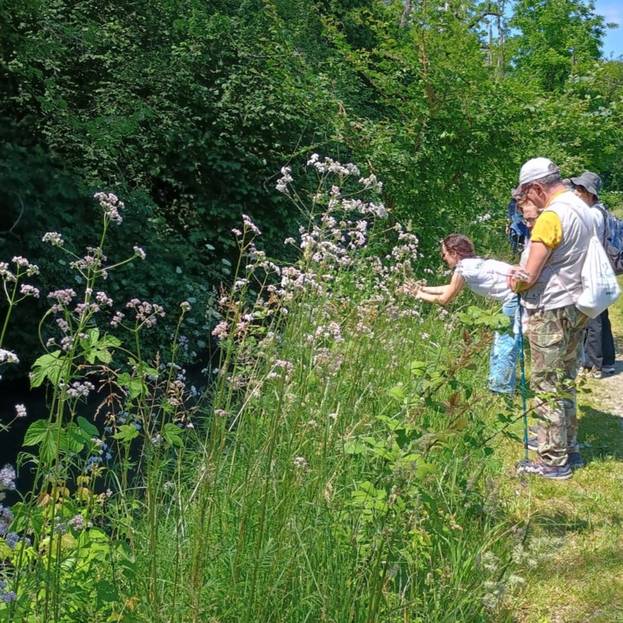 Nel Parco Oglio Nord torna il «BioBlitz», la biodiversità diventa esperienza condivisa