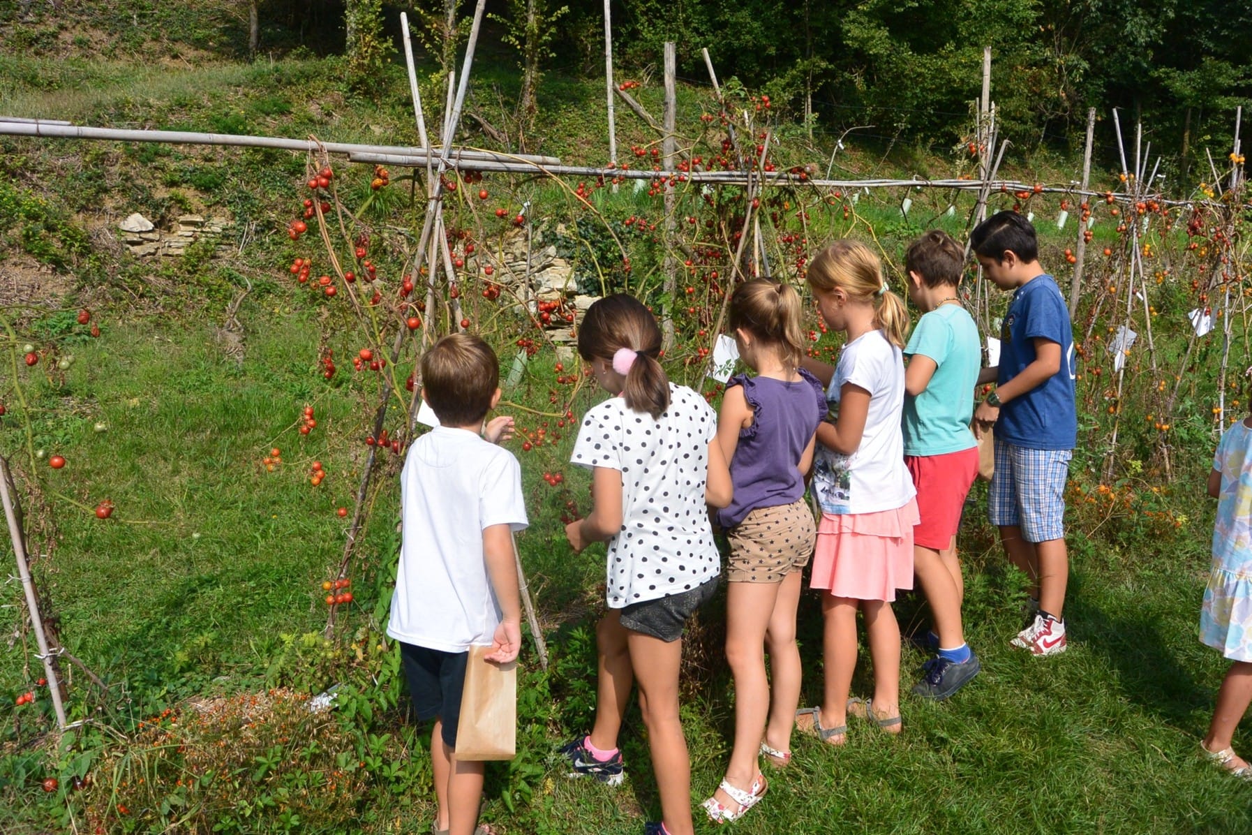 Orto Botanico di Bergamo, la missione è educare attraverso il paesaggio e le relazioni 