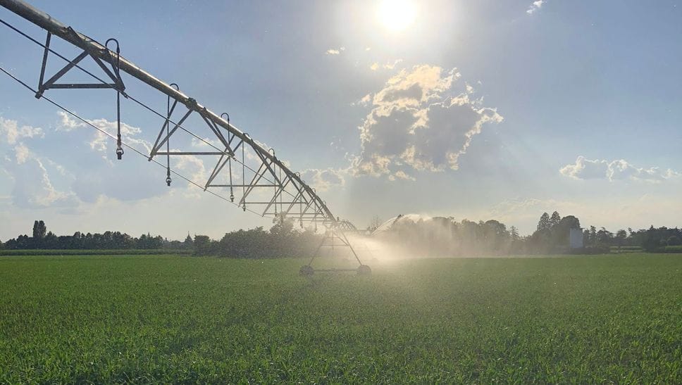 Siccità e irrigazione, Confai: «Serve più prudenza sulla gestione dell’acqua»