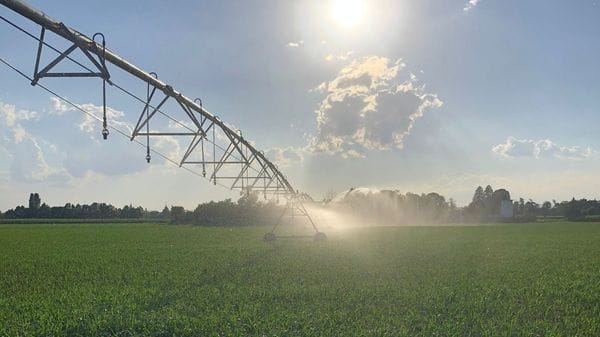 Siccità e irrigazione, Confai: «Serve più prudenza sulla gestione dell’acqua»