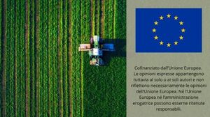 Immagine per ansa-66d7e223-fdbc-4ff3-b3ee-4f3a23c9cf72