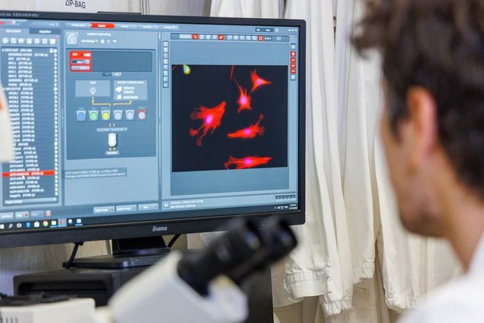 Ultrasuoni contrastano i processi neuro-infiammatori 