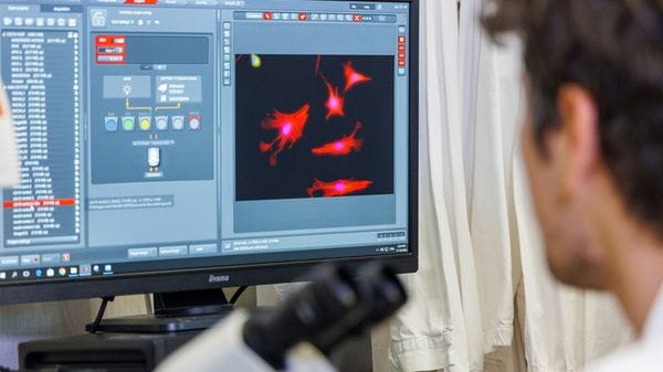 Ultrasuoni contrastano i processi neuro-infiammatori 