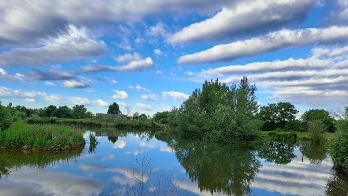«Riflessi di stagno...»