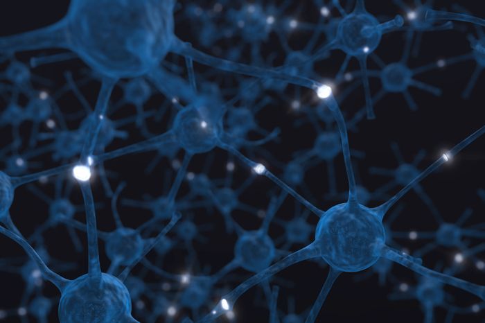 Un anticorpo aiuta a rigenerare le fibre nervose dopo una lesione 