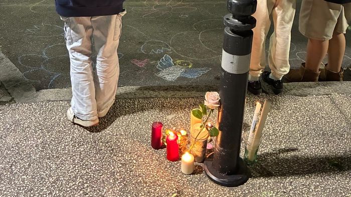 https://storage.ecodibergamo.it/media/photologue/2026/5/14/photos/cache/giulio-morto-a-9-anni-lamico-sacerdote-un-bambino-pieno-di-energia_d4ee1a86-4f54-11f1-8a17-05a528923769_1920_1080_v3_large_16_9.jpeg