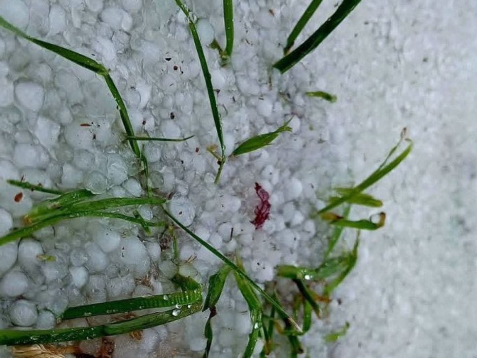 Grandine e neve sulle Orobie: il maltempo paralizza le valli bergamasche. Le previsioni parlano di pioggia - Foto e video