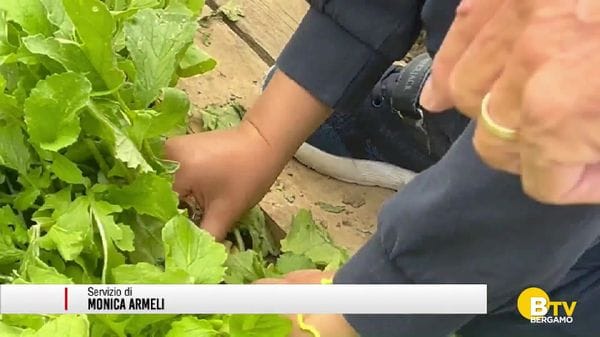 Bolgare, l'esperienza degli «Orti sociali», per rafforzare i rapporti di comunità e non soltanto