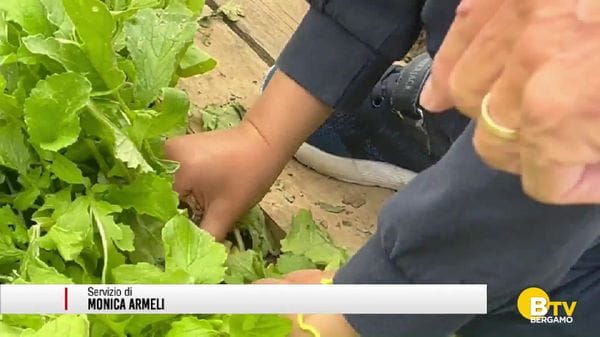 Bolgare, l'esperienza degli «Orti sociali», per rafforzare i rapporti di comunità e non soltanto