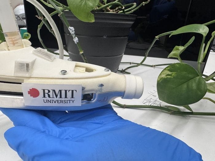 Le onde sonore amiche delle piante, le rivestono con scudo anti-Uv