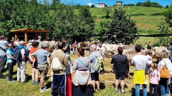 Parco dei Colli, torna la fiera. Visite, stand e concorsi