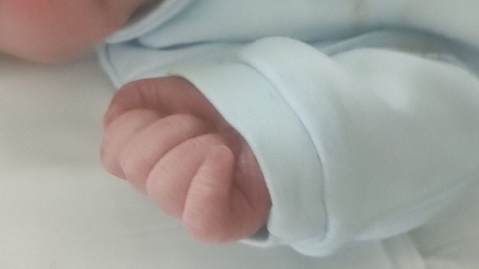 Fiocco azzurro in redazione: è nato Michele, figlio di Lucia Cappelluzzo